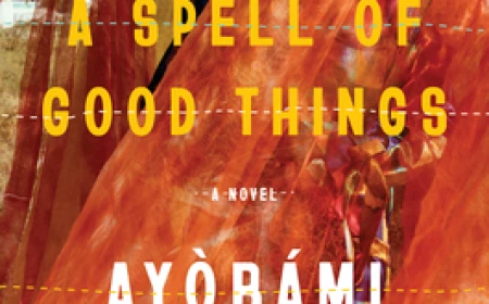 A Spell of Good Things by Ayobami Adebayo Free PDF Download
